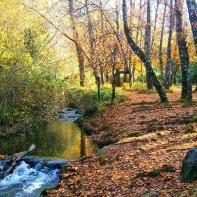 Pensjonat Casa La Vega El Bosque Zewnętrze zdjęcie